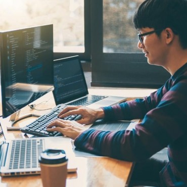 Contratar Desenvolvedor PHP em Tartarugalzinho